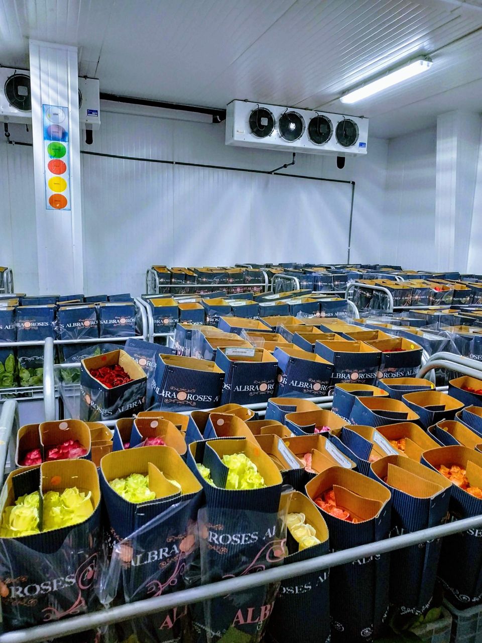 Коробки с розами в холодильной камере